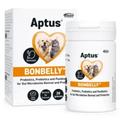 Aptus bonbelly