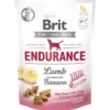 Brit Care dog functional snack endurance lamb