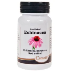 Camette echinacea