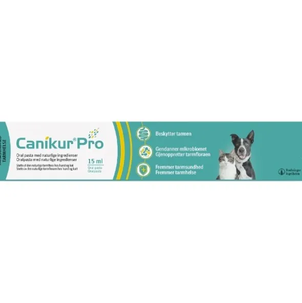 Canikur pro pasta