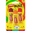 Carmex moisturising lip balm minis