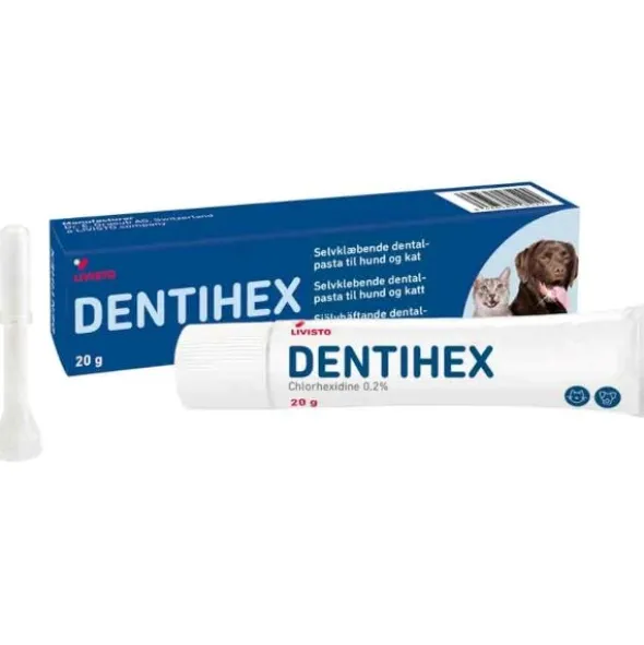 Dentihex