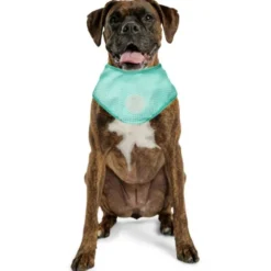 GF Pet Ice Band stor