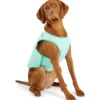 GF Pet Ice vest