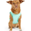 GF Pet Ice vest