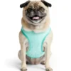 GF Pet Ice vest
