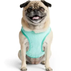 GF Pet Ice vest