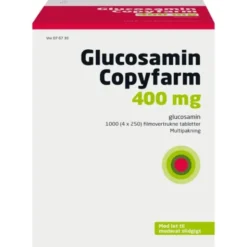 Glucosamin Copyfarm 400 mg