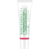 Mario Badescu lip balm watermelon & basil