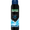 Palmolive men pure arctic deo spray