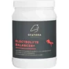 Statera Horsecare electrolyte balancer+